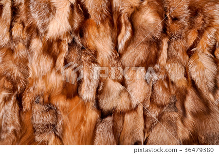 Natural fur texture Natural fur texture 36479380