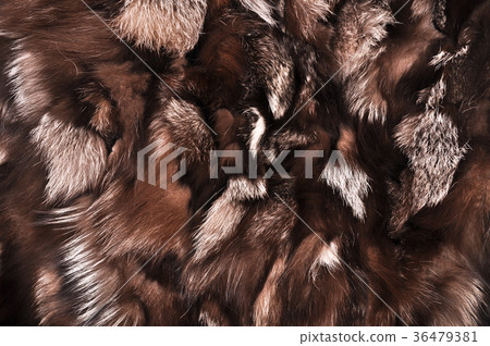 Natural fur texture Natural fur texture 36479381