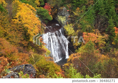 Yokotani Valley Owaki Falls Yokotani Valley Owaki Falls 36480271
