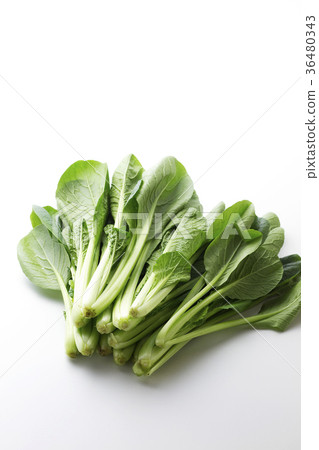 Komatsuna 12 36480343