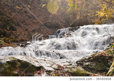 Fish stopper waterfall 36480806