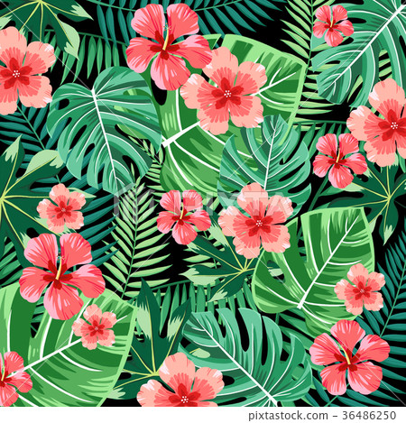 Tropical plant vector design 002 - Stock Illustration [36486250] - PIXTA