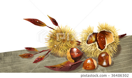 fruit and plant design, expressive of summer 014 36486302