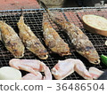 Barbecue with fish 36486504