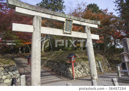 Oharano Shrine Torii / Oharano Minami-Kasugacho,京都府 Oharano Shrine Torii / Oharano Minami-Kasugacho,京都府 36487284