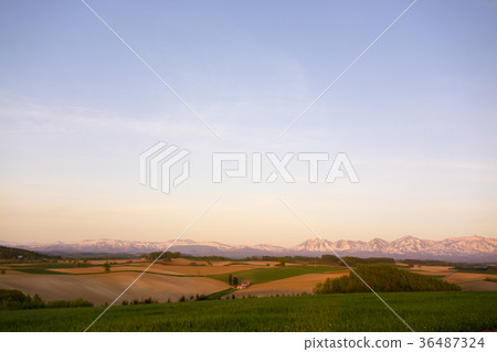 春天美瑛丘陵和山傍晚的風景 36487324