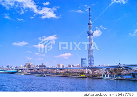 Landscape seen from the Asakusa Sumida River embankment in spring 36487796
