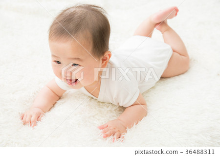 高高寶寶(笑) 高高寶寶(笑) 36488311