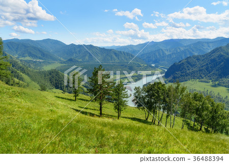 View of Katun river from mountain Camel. Altai View of Katun river from mountain Camel. Altai 36488394