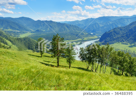 View of Katun river from mountain Camel. Altai View of Katun river from mountain Camel. Altai 36488395