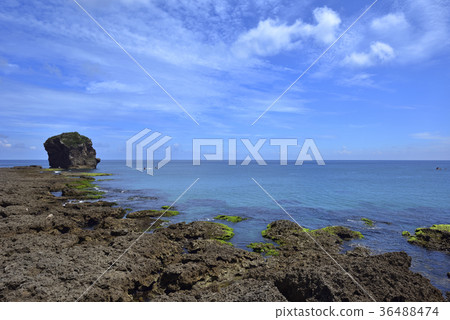 屏東縣,恆春鎮,墾丁,墾丁國家公園,船帆石,鵝鑾鼻,岩石,珊瑚礁 屏東縣,恆春鎮,墾丁,墾丁國家公園,船帆石,鵝鑾鼻,岩石,珊瑚礁 36488474