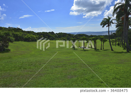 屏東縣,恆春鎮,墾丁,墾丁國家公園,樹,海,牧場,農場,草原 36488475