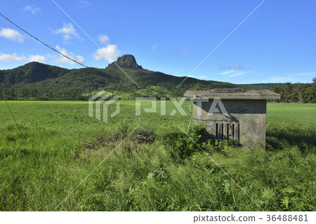 屏東縣,恆春鎮,墾丁,墾丁國家公園,大尖山,大尖山草原,牧場,農場,草原 36488481