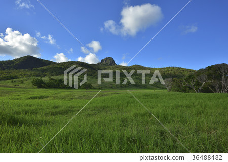 屏東縣,恆春鎮,墾丁,墾丁國家公園,大尖山,大尖山草原,牧場,農場,草原 36488482