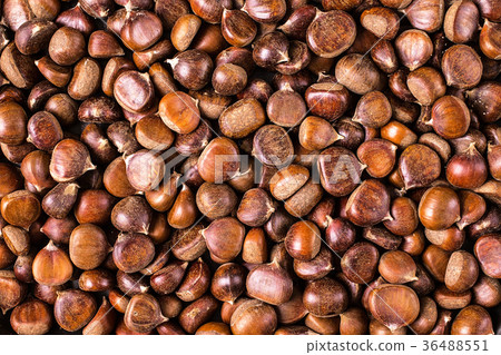 Ripe chestnuts close up.  Food background. 36488551