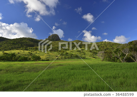 屏東縣,恆春鎮,墾丁,墾丁國家公園,大尖山,大尖山草原,牧場,農場,草原 36488599