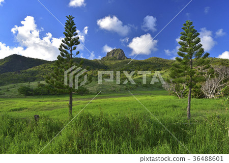 屏東縣,恆春鎮,墾丁,墾丁國家公園,大尖山,大尖山草原,牧場,農場,草原 36488601