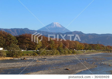 [Yamanashi Prefecture] Shingen Embankment and Mt. Fuji 36489409