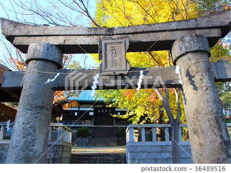 [Yamanashi] Sansha Shrine and Torii 36489516