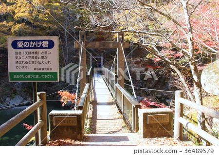 [山梨縣] Shosenkyo，“愛的掛橋” 36489579
