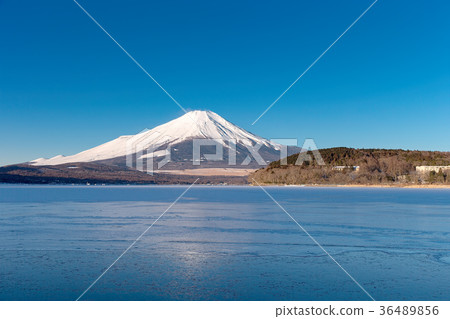 Mount Fuji (February Lake Yamanaka sunny) Mount Fuji (February Lake Yamanaka sunny) 36489856