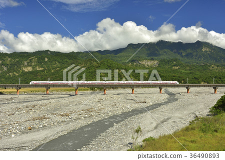 卑南溪,水,溪流,橋,卑南族聖山,火車,臺灣鐵路,臺東線鐵路,鐵路,臺鐵,交通,運輸 36490893
