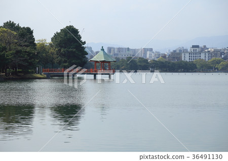 Take a walk in Ohori Park Take a walk in Ohori Park 36491130