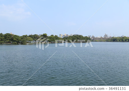 Take a walk in Ohori Park 36491131