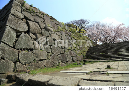 Fukuoka Castle Ruins Ishigaki 36491227