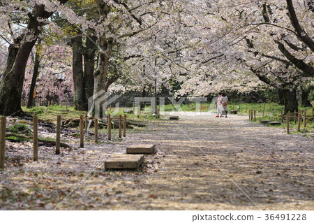 福岡城遺址 36491228