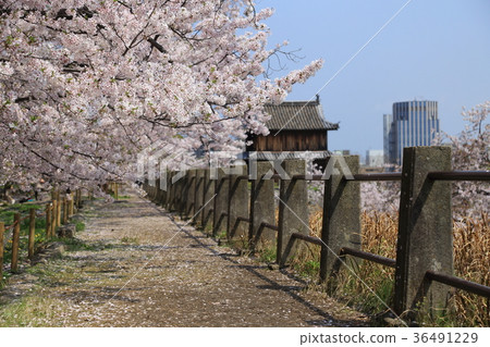 福岡城遺址 36491229
