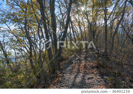 Autumn hiking course 36491239
