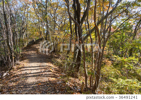Autumn hiking course 36491241