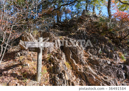 Road signpost 36491584