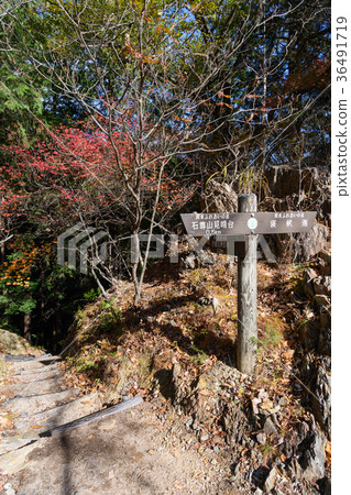 Road signpost 36491719