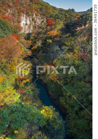 View from Yukiwari Bridge 36491739