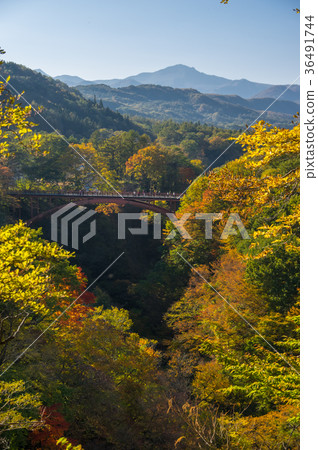 Autumn leaves of Yukiwari Bridge 36491744