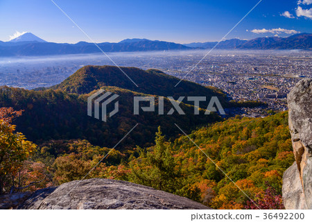 [Yamanashi] View of Mt. Fuji and Kofu basin from the autumn leaves of Wada Pass 36492200