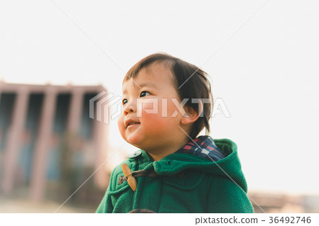 younger, little child, toddler 36492746