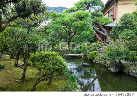 Ikkokaku的花園 36492897