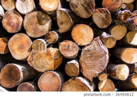 a stack of cut wood 36493612