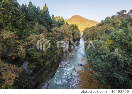 Takeshin峽谷的早晨 36493799