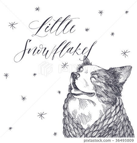 Christmas or New Year illustration with cute dog Christmas or New Year illustration with cute dog 36493809