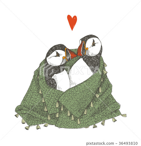 Christmas or New Year illustration with cute birds Christmas or New Year illustration with cute birds 36493810