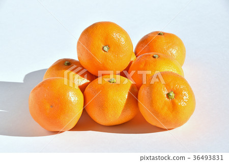 Yamakita橙色 Yamakita橙色 36493831