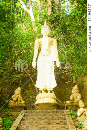 White Buddha 36494367