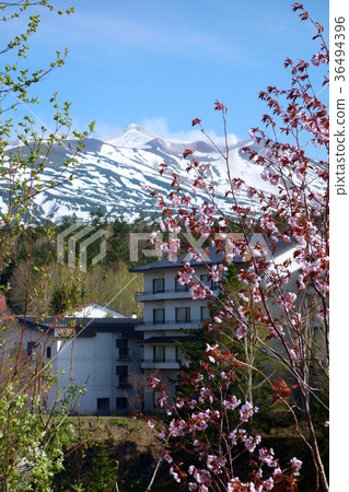 Spring of Tokachidake mountain range and Shirokane Onsenkyo image material 36494396