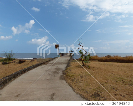 考艾島 夏威夷 碼頭 36494843