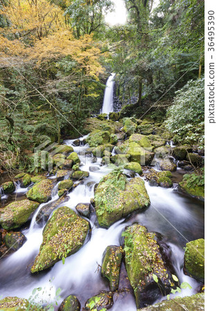 Shiraito Falls Shiraito Falls 36495390