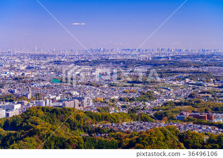 Cityscape towards Tokyo as seen from Mt. Takao where the leaves fall 36496106